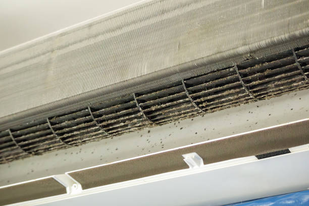 Best Best Air Duct Cleaning Company  in Ringgold, GA